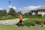 Award Winning Gardening / Landscaping Business - Sydney, NSW
