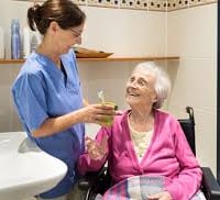 IN-HOME AGED CARE & DISABILITY SERVICES (VIC) image