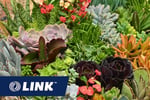 Top QLD Wholesale Succulent Nursery incl. Freehold
