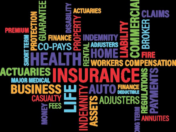 Established Insurance Brokerage for Sale $705K Revenue primary image