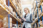 Large National Toy Product Importer, Wholesaler/Distributor #381