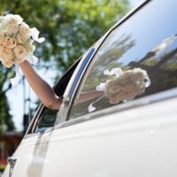 Long-Standing Car and Limousine Hire Business, Central Coast image