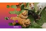 36113 - PROFITABLE DOG DAYCARE & GROOMING BUSINESS