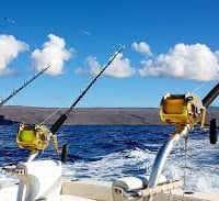Fishing Charter for sale - Passive income $201k - Assets $490k image