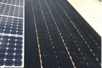 Profitable Electrical Solar & Renewable Energy Business