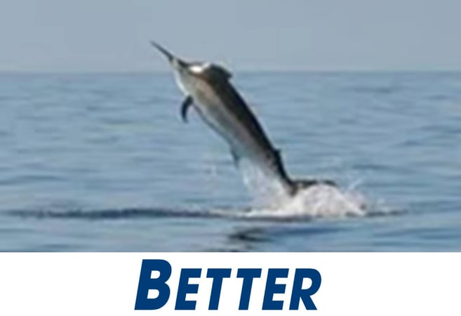 THE BEST FISHING TACKLE OUTLET IN AUSTRALIA