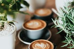 Busy  Cafe- over $20000 per week-50Kg coffee -Excellent Profit-Lots of growth