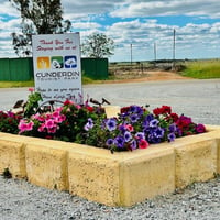 Cunderdin Tourist Park - Freehold and Business image