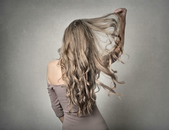 Award Winning Hair Salon, 30 Years of Excellence, Southern Sydney | ID: 1397
