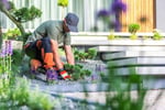 Combined Horticulture & Landscaping Enterprise | FY26 Revenue $9.23M | QLD