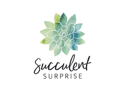 Photo of Succulent Surprise - Established Online Plant Store and Gifting Brand - National Opportunity