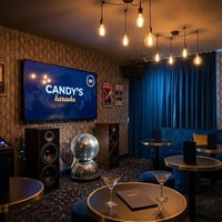UID: 244 Karaoke business in Hills District  Only 4 days/week, over $900K worth of fit-out image