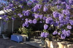 Backpacker Business Geraldton (Freehold Also Available)