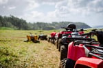 Retail & Repair - Motorcycles & Outdoor Power Equipment