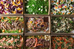 One Pot Catering — Established Sydney Catering Business