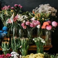 For Sale Well-Established Florist Giftware Cafe Trading 6 Days Bexley Sydney image