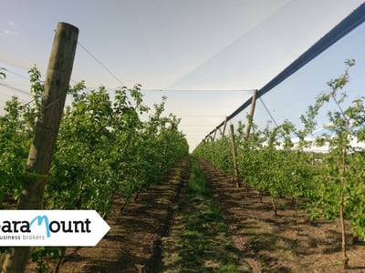 Leading Crop Protection/Netting Infrastructure Specialist VIC (Our Ref: 2065) image