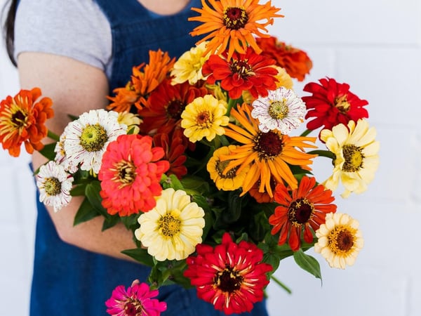 Netting $60K Profit Thriving, Profitable Florist  and Gift Hamper Business