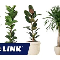 eCommerce Plant Business Scalable & Sustainable image