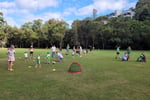 Grasshopper Soccer Franchise Opportunity - North Rocks and Telopea NSW