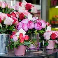 Flower Shop Established For Over 15 Years0 In Bulleen [2105151] image