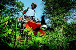 Garden Services - Recurring Income - Staff in Control