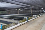 Land base aquaculture facility and marine lease