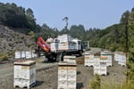 Asset-Based Small Scale Commercial Beekeeping Opportunity for Sale