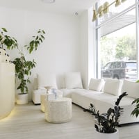 Luxury Spa for Sale - Southwest Sydney, NSW image