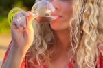 Unique Wine Import/Export Business Opportunity