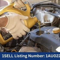 Advanced Auto Mechanic-Lake Macquarie image