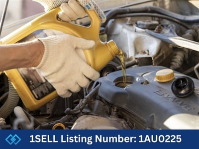 Advanced Auto Mechanic-Lake Macquarie image