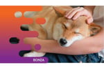 35501 Profitable Dog Minding Business - 30+ Years of Success
