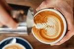 Busy Corner Cafe for Sale - Darlington, NSW