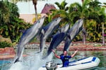 BOATS and OUTBOARDS - Exceptional Opportunity