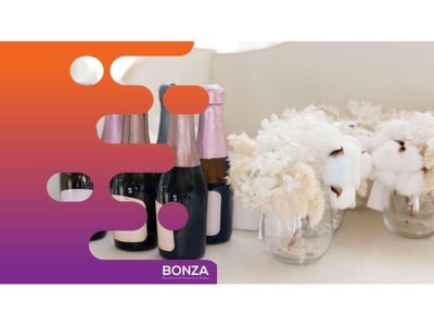 36260 Profitable Online Wedding Store - Operate From Anywhere image