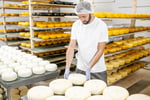 Artisan Cheese Factory & Cafe Business For Sale - Granite Belt