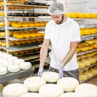 Artisan Cheese Factory & Cafe Business For Sale - Granite Belt image