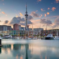 Highly Profitable Business in the Leisure Industry| $3m EBITDA  Auckland NZ image