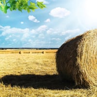 Hinterland\'s Undisputed Agricultural Powerhouse  Iconic Rural Supplies Superstores image