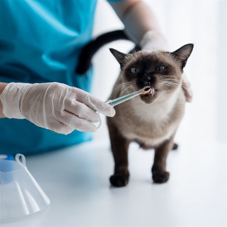 Coming Soon - Home Office - National White Collar Business