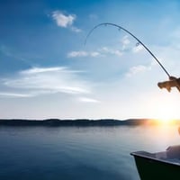 THE BEST FISHING TACKLE OUTLET IN AUSTRALIA image