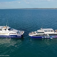 Whale Watching Business image