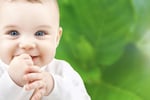 Freehold Childcare Centre for Sale - Lic 53 - $695k