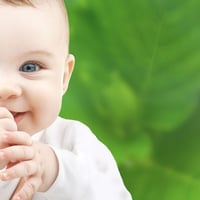 Freehold Childcare Centre for Sale - Lic 53 - $695k image