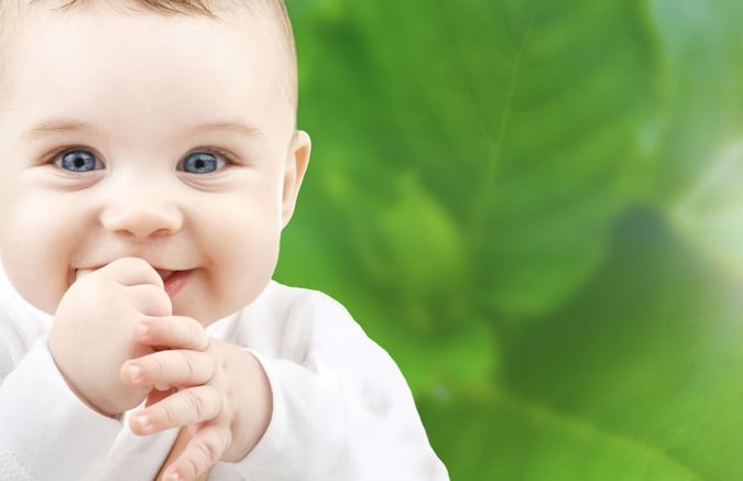 Freehold Childcare Centre for Sale - Lic 53 - $695k