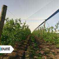 Leading Crop Protection/Netting Infrastructure Specialist VIC (Our Ref: 2065) image