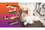 35658 Well-Established Mobile Dog Grooming Business with Strong Local Following