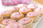 Unique Specialty Bakery - Unmatched in  Queensland