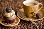 UNDER OFFER  Beautifully set up Cafe, Owners only been there 10 months